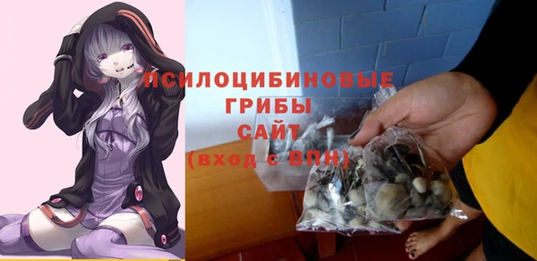 мдма Ельня