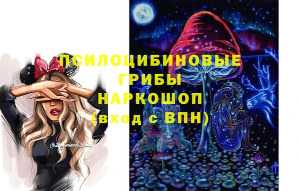 мдма Ельня