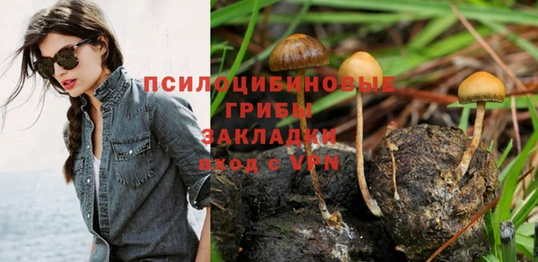 мдма Ельня